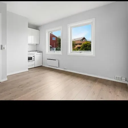Studioleilighet Pa Gangavstand Til Strommen Apartment *